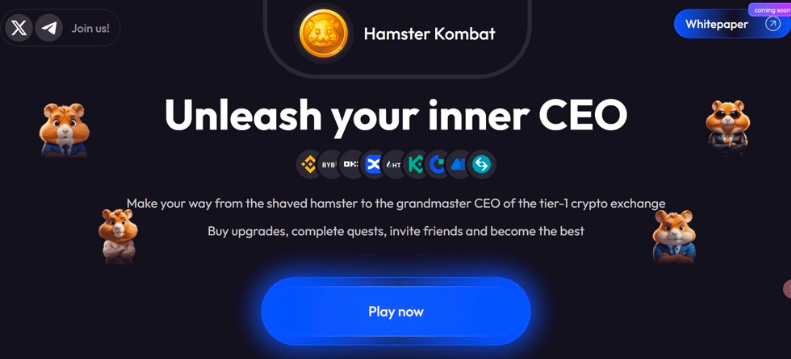 Hamster是什么？详解币安Launchpool项目Hamster Kombat(HMSTR)！