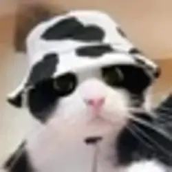 MooCat