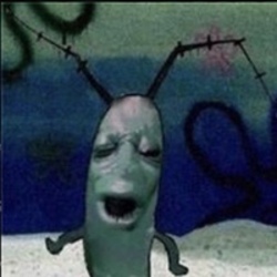 plankton