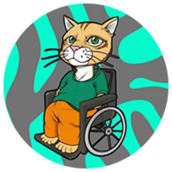 Wheelchair Cat